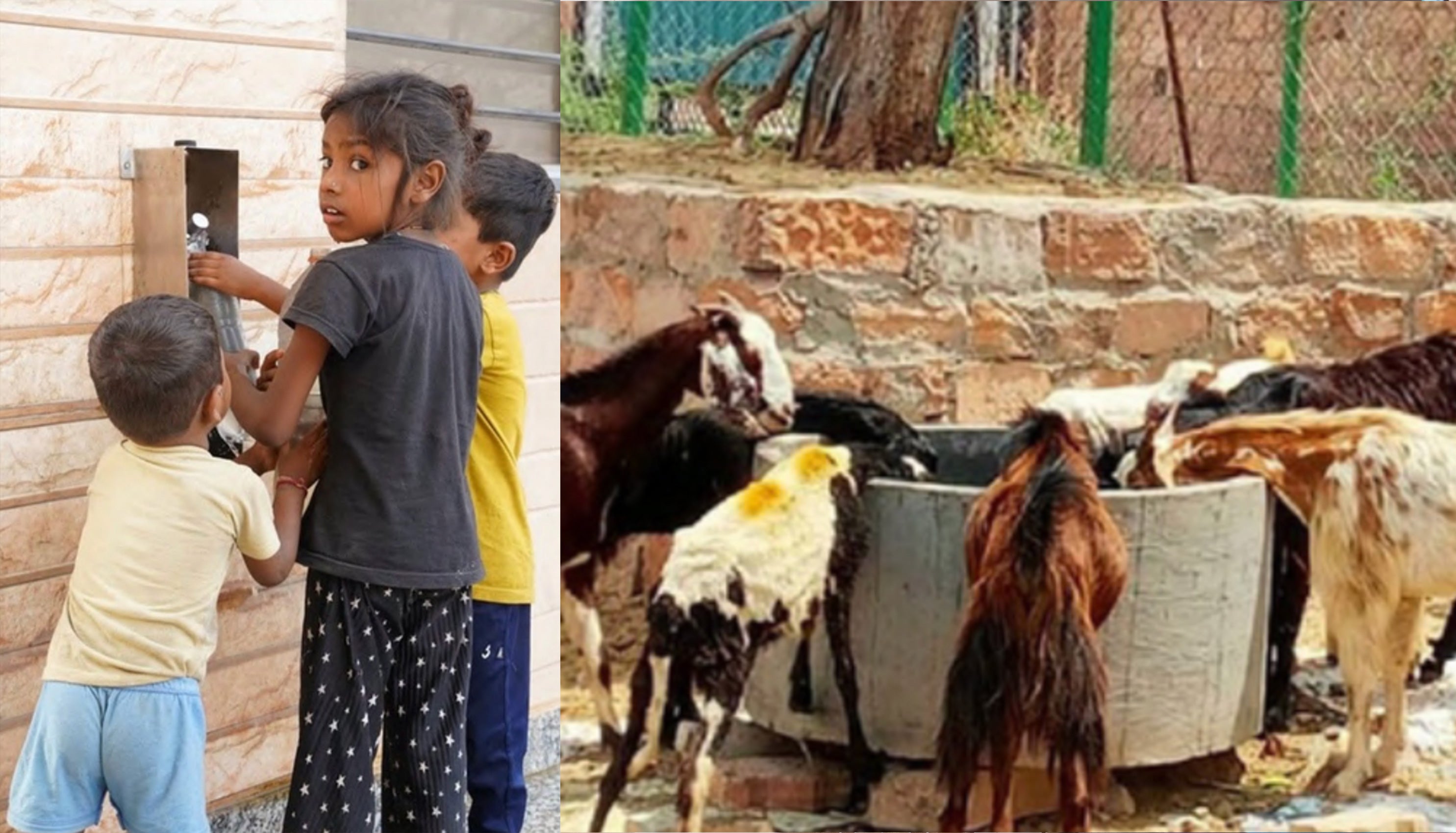 region uttar pradesh