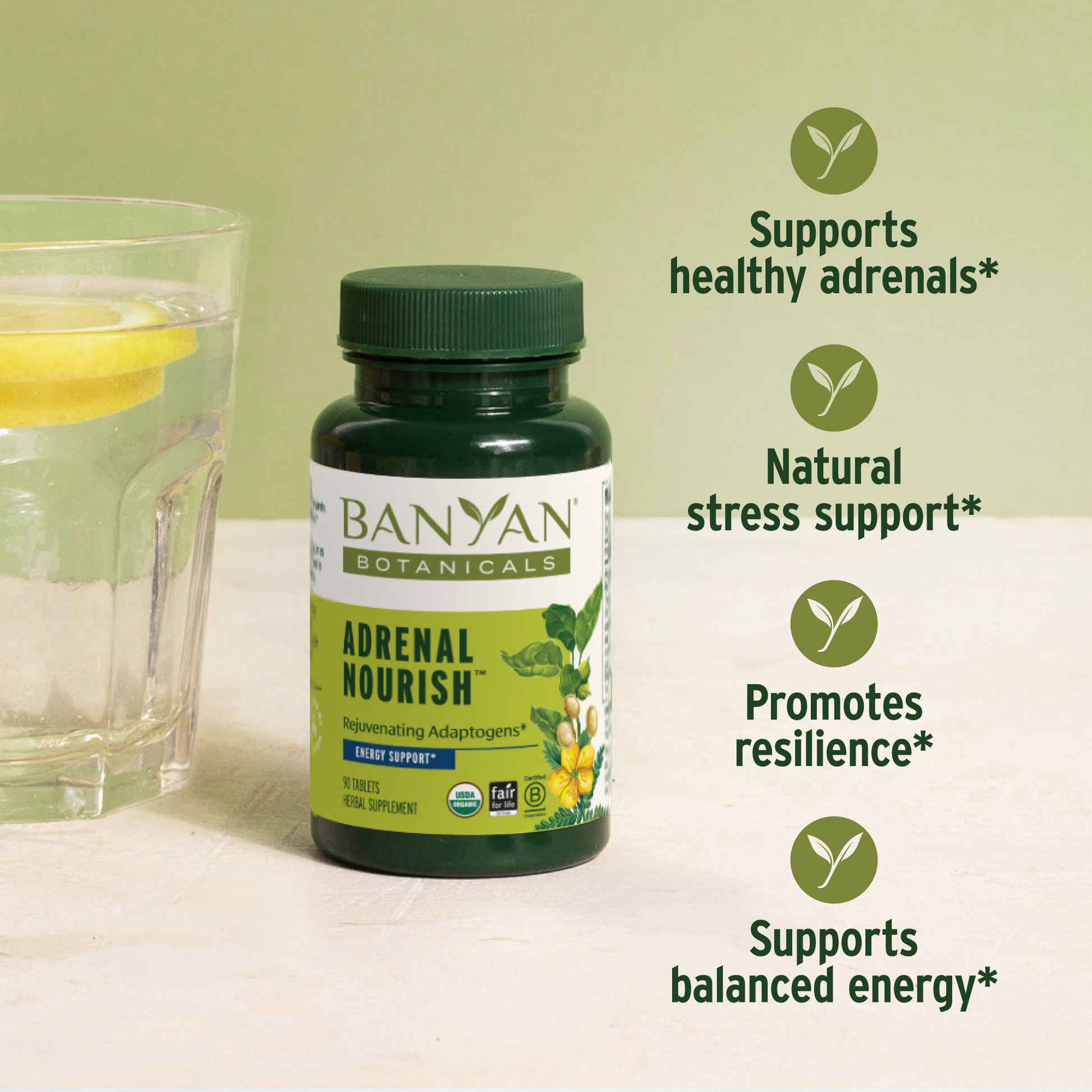 Adrenal Nourish Benefits