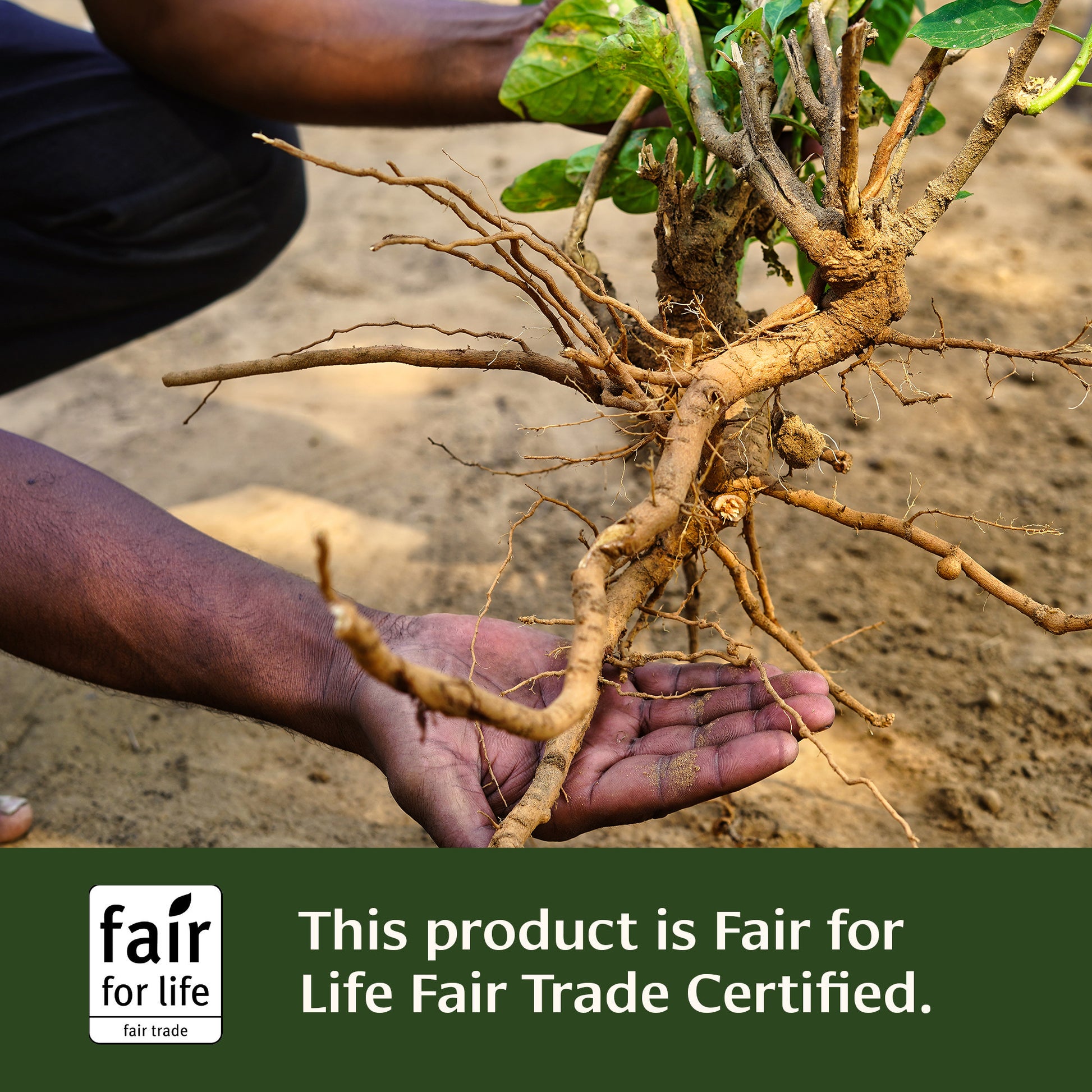 Adrenal Nourish Tablets Fair for Life Fair Trade Certified