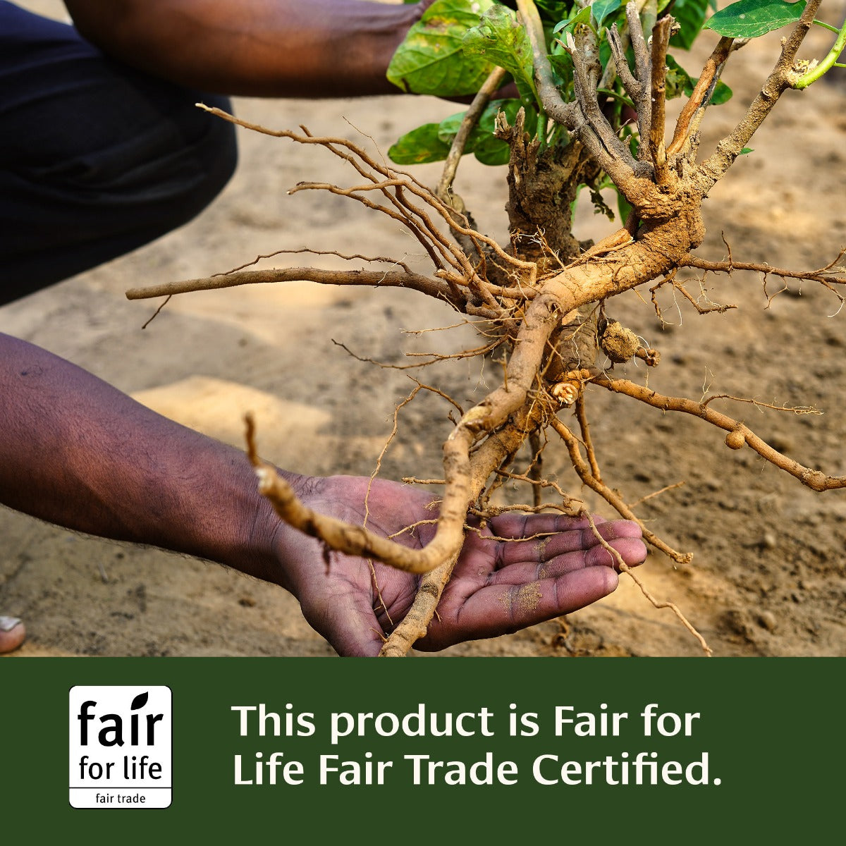 This product is Fair for Life Fair Trade Certified