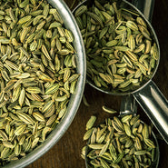 Fennel Seed