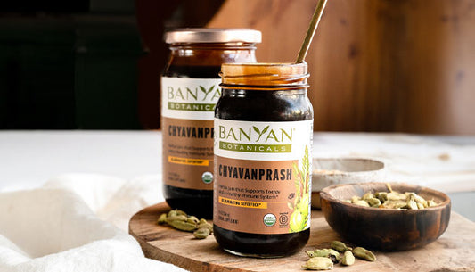 The Benefits of Chyavanprash