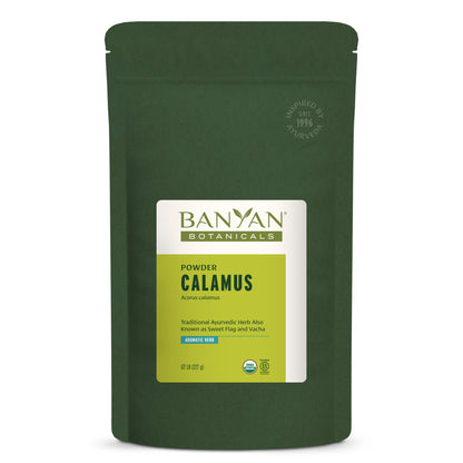 Calamus powder