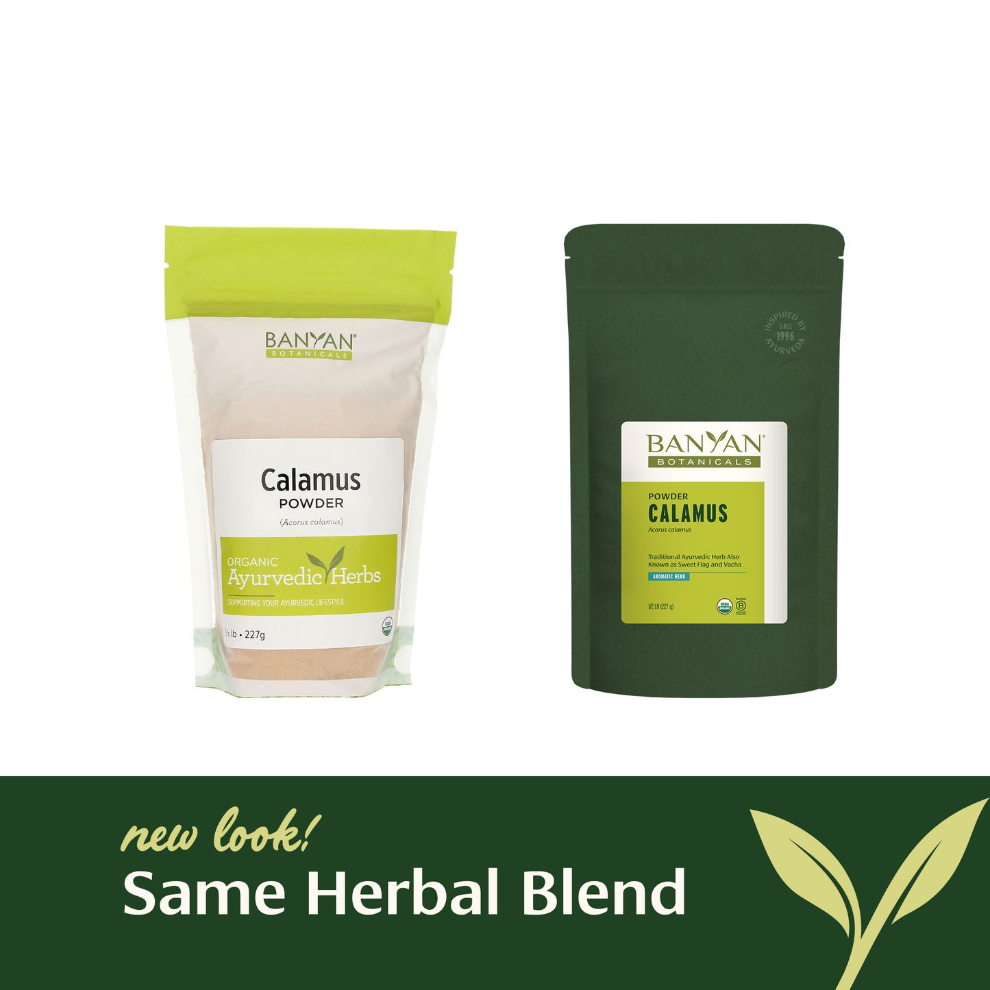 Calamus powder rebrand