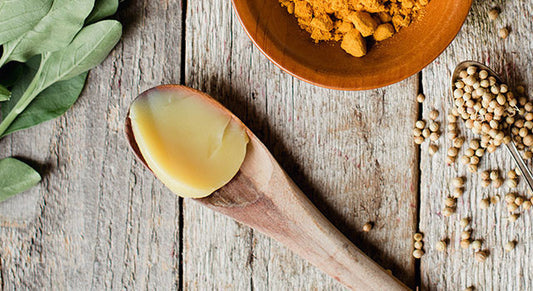 Ayurveda’s Carrier Substances