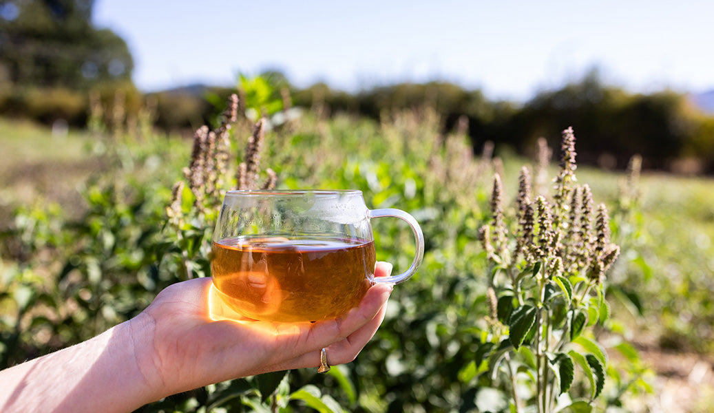 Nurturing, Warm & Giving