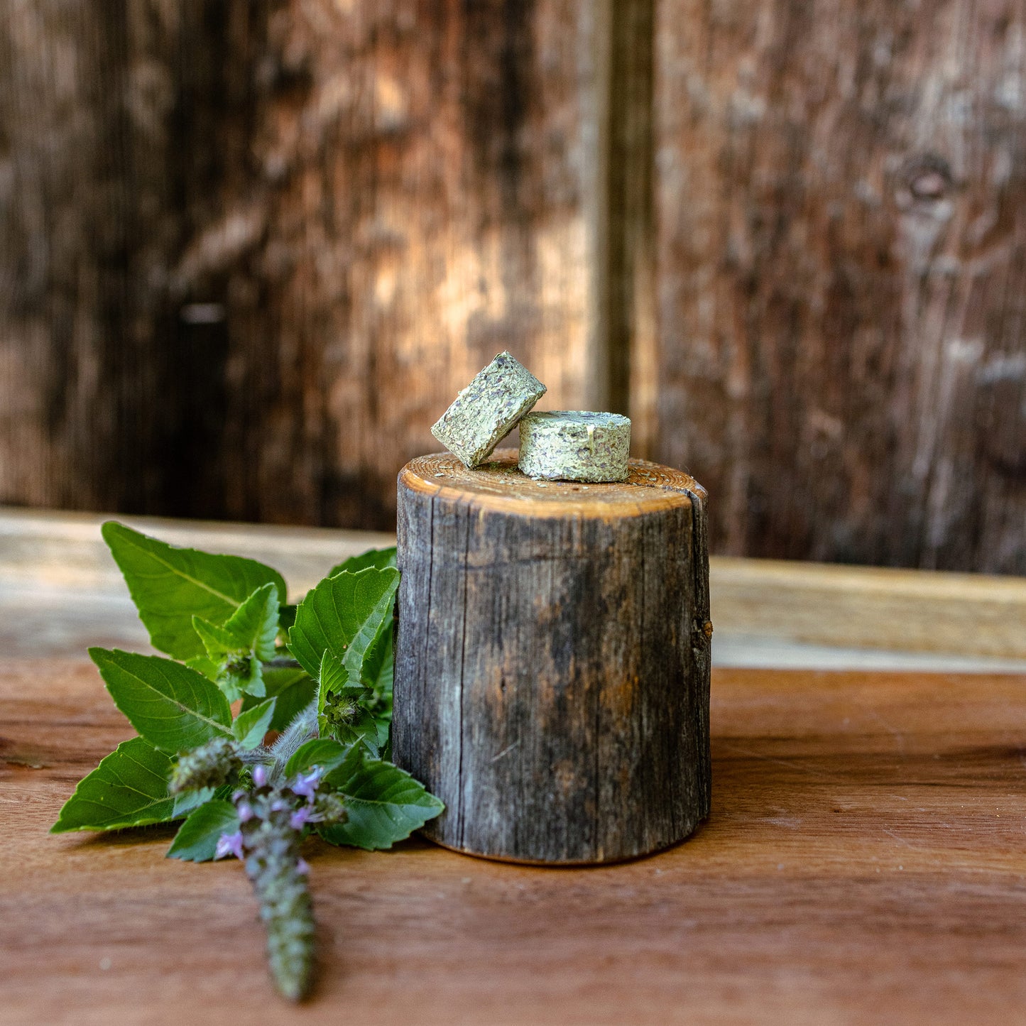 Centered Ritual Tea Medallions on a log