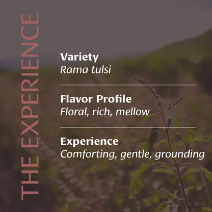 Earthy Ritual Tulsi™