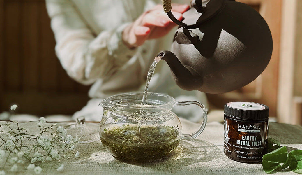 Crafting a Transformative Experience 