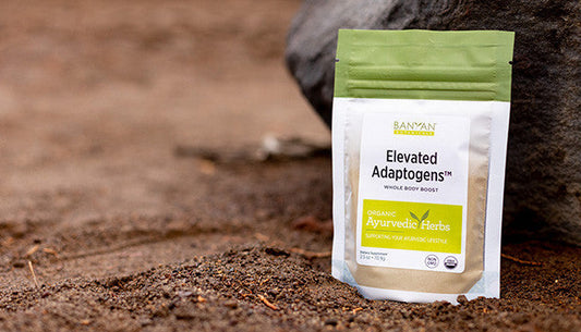 Elevate Your Energy and Boost Your Day with Elevated Adaptogens