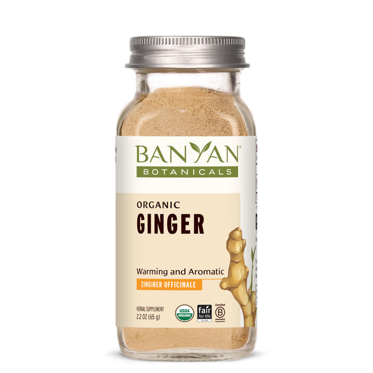 Ginger powder Spice jar