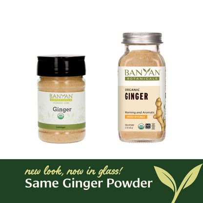 Spice Jar: ginger powder rebrand