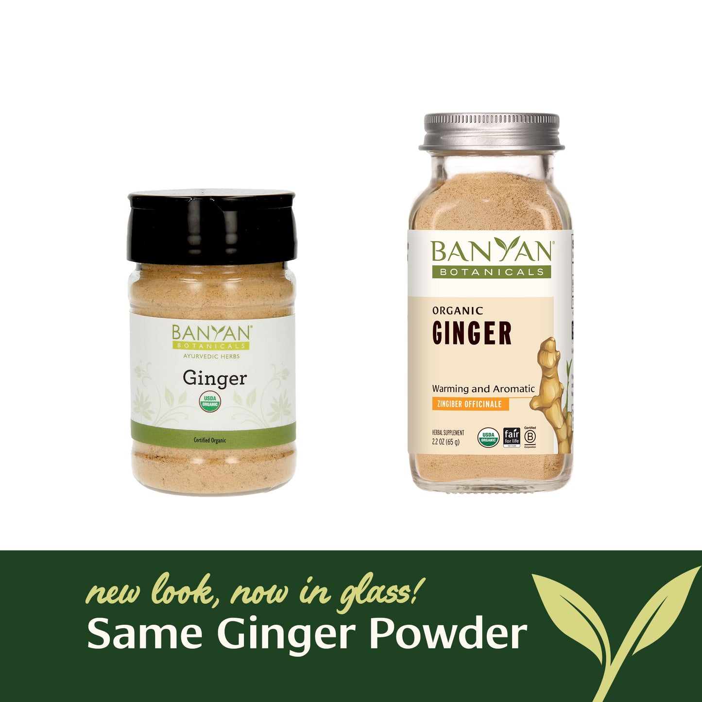 Spice Jar: ginger powder rebrand