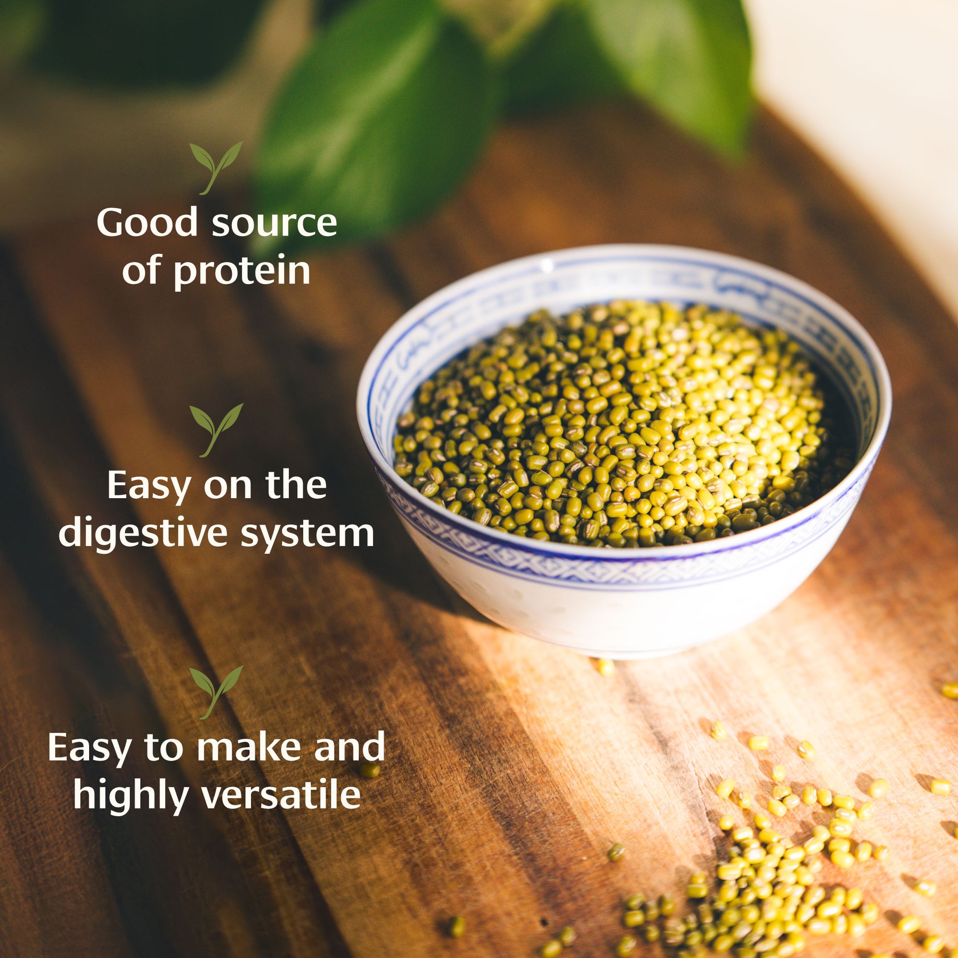 Benefits of green mung beans
