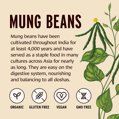 Green Mung Beans Information