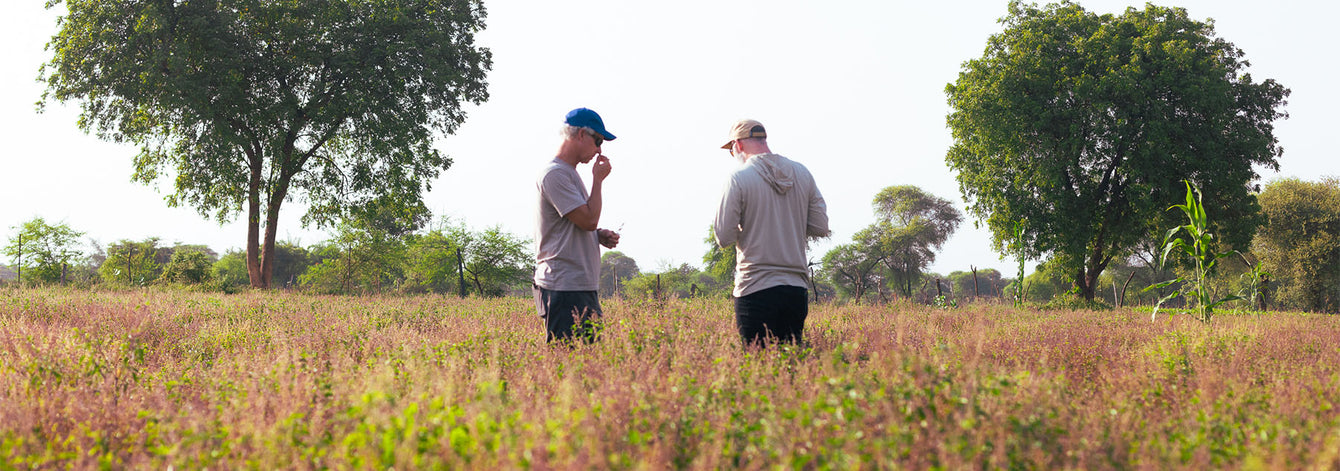 Quality Control and Testing