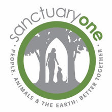 Santuary One logo