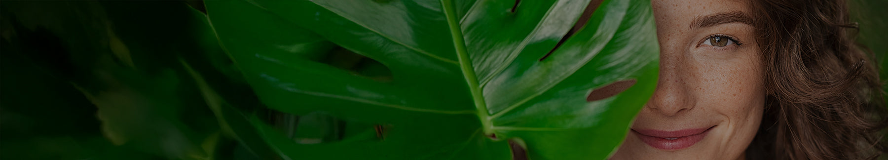 Ayurvedic Skincare Products