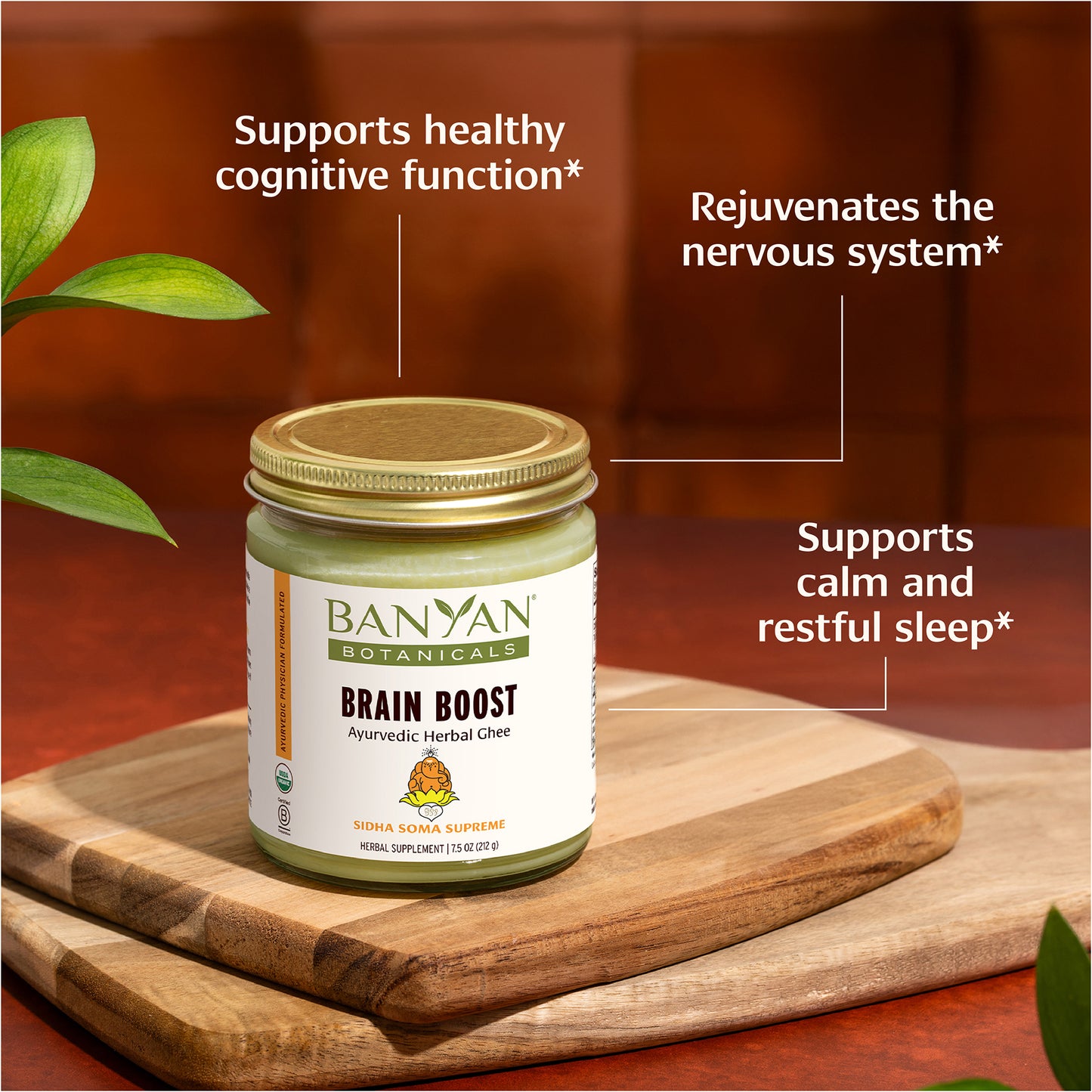 Ashwagandha Brahmi Brain Boost Herbal Ghee Benefits
