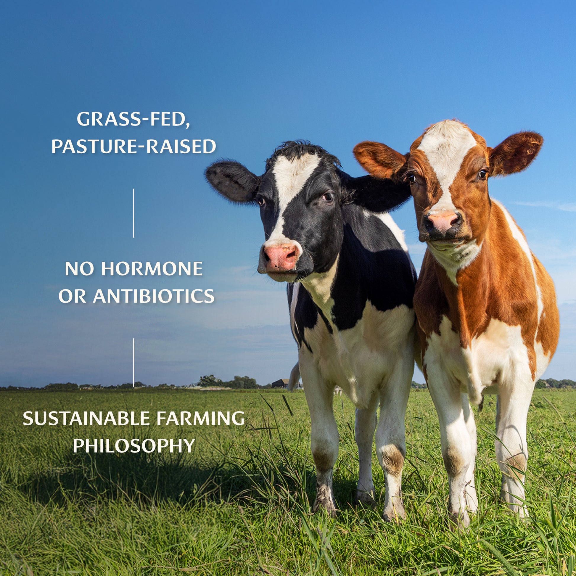 Grass-fed, Pasture Raised • No Hormone or Antibiotics • Sustainable Farming Philosophy