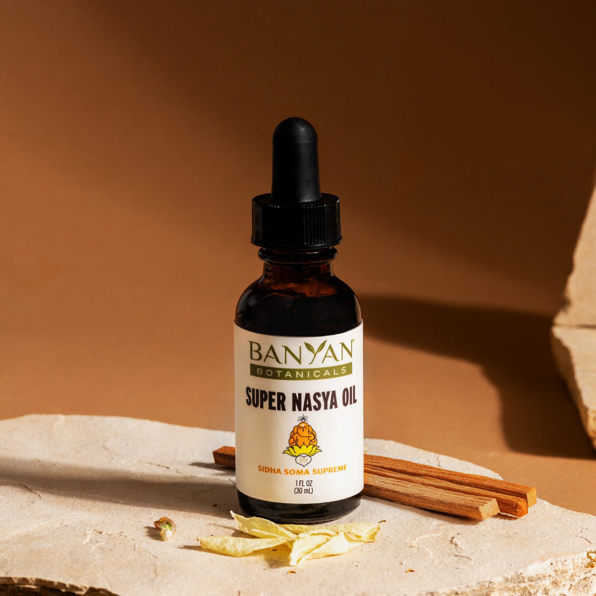 super nasya sitting on a rock