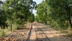 Our Journey to More Sustainable Packaging