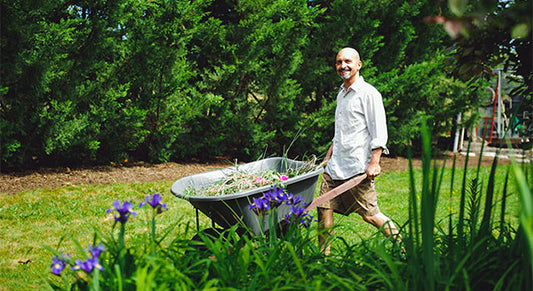 Virility and Vitality