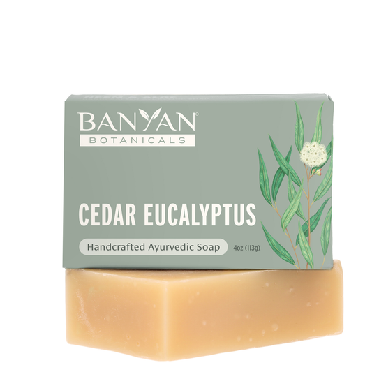 Cedar Eucalyptus Soap