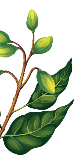 Footer Illustration Left 